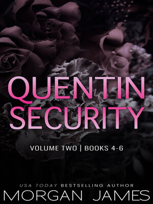 cover image of Quentin Security Series Box Set 2